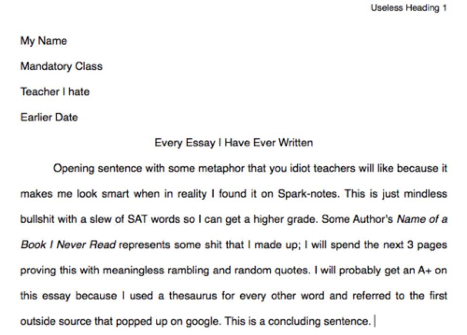 Write Essays For College Students